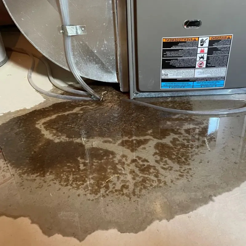 Pipe Burst and Leak Restoration in Ouray County, CO